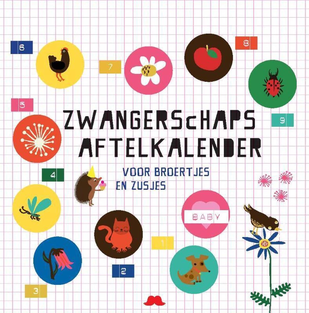 Zwangerschapsaftelkalender voor broertjes en zusjes (EAN: 9789079961757)