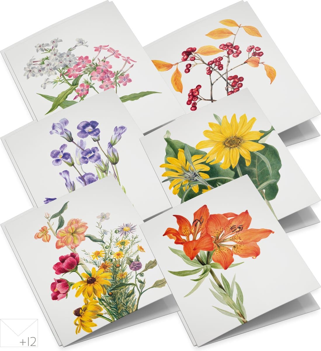 Wenskaarten set Wilde bloemen - 12 dubbele kaarten met enveloppen - zonder boodschap (EAN: 9789492598073)
