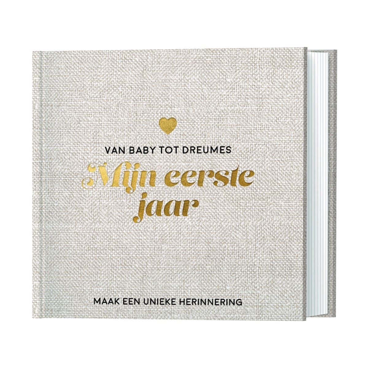 Lantaarn Mijn Eerste Jaar Babyboek - Maak Een Unieke Herinnering (EAN: 9789463546980)