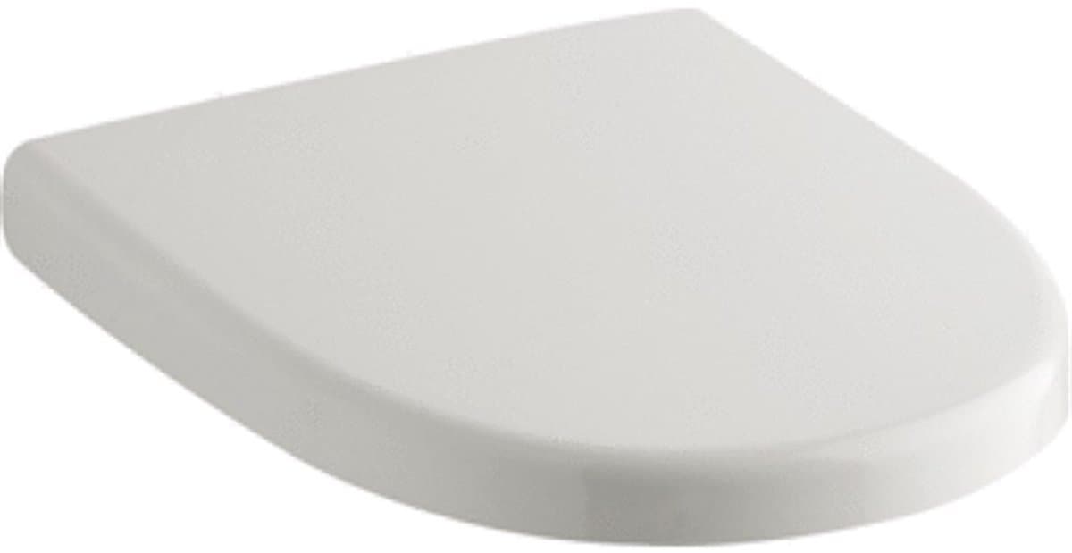 Geberit 300 Basic closetzitting met deksel standaard wit (EAN: 4025410724038): De Geberit 300 Basic De onbezongen held van de badkamer