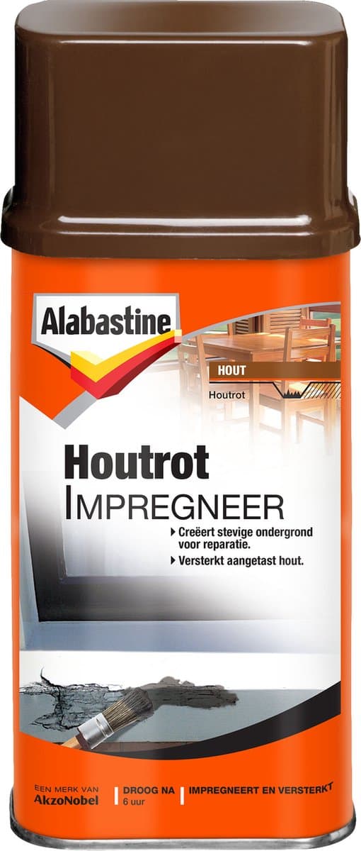 Alabastine houtrotstop - 250 ml (EAN: 8710839112554): Wat is het precies