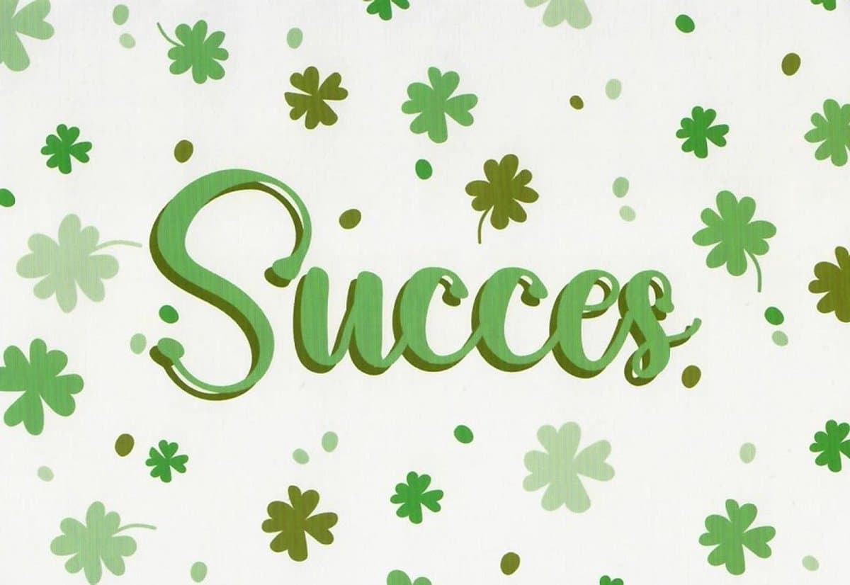 Succes! Een bijzondere kaart met een afbeelding van klavertjes vier! Deze zullen jou vast veel geluk gaan brengen. Een leuke wenskaart om zo te geven of om bij een cadeau te voegen. Een dubbele wenskaart inclusief envelop en in folie verpakt. (EAN...