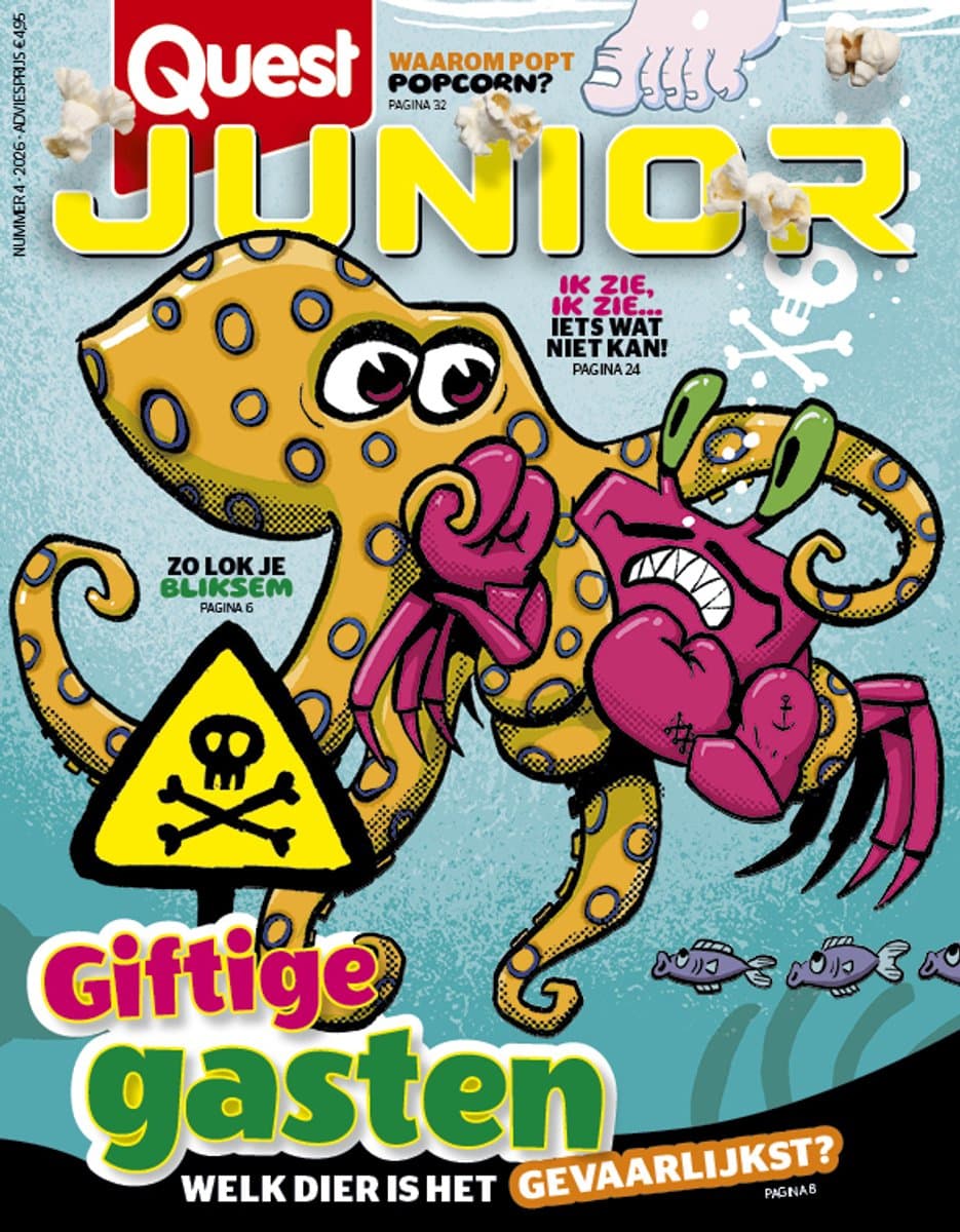 Quest Junior editie 4 2026 (EAN: 8715257312791): 🔎 Waarom ik deze knutselset uitprobeerde