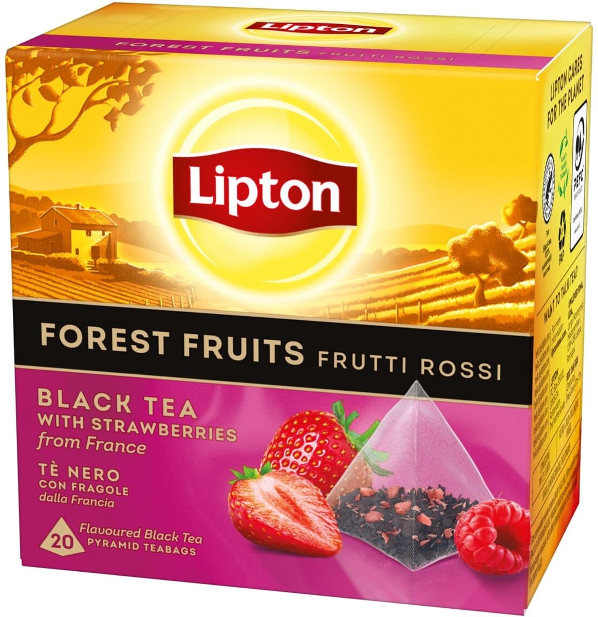 Lipton Forest Fruit Tea - 80 Theezakjes Piramid - Zwarte Thee Bosvruchten - 4 x 20 Zakjes - Voordeelverpakking (EAN: 5063270109571)