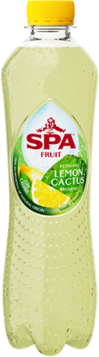 Spa Koolzuurhoudende fruitlimonade lemon cactus 40 cl per petfles, krimp 6 flessen (EAN: 5410013802570): Waarom een limonade in de workshop