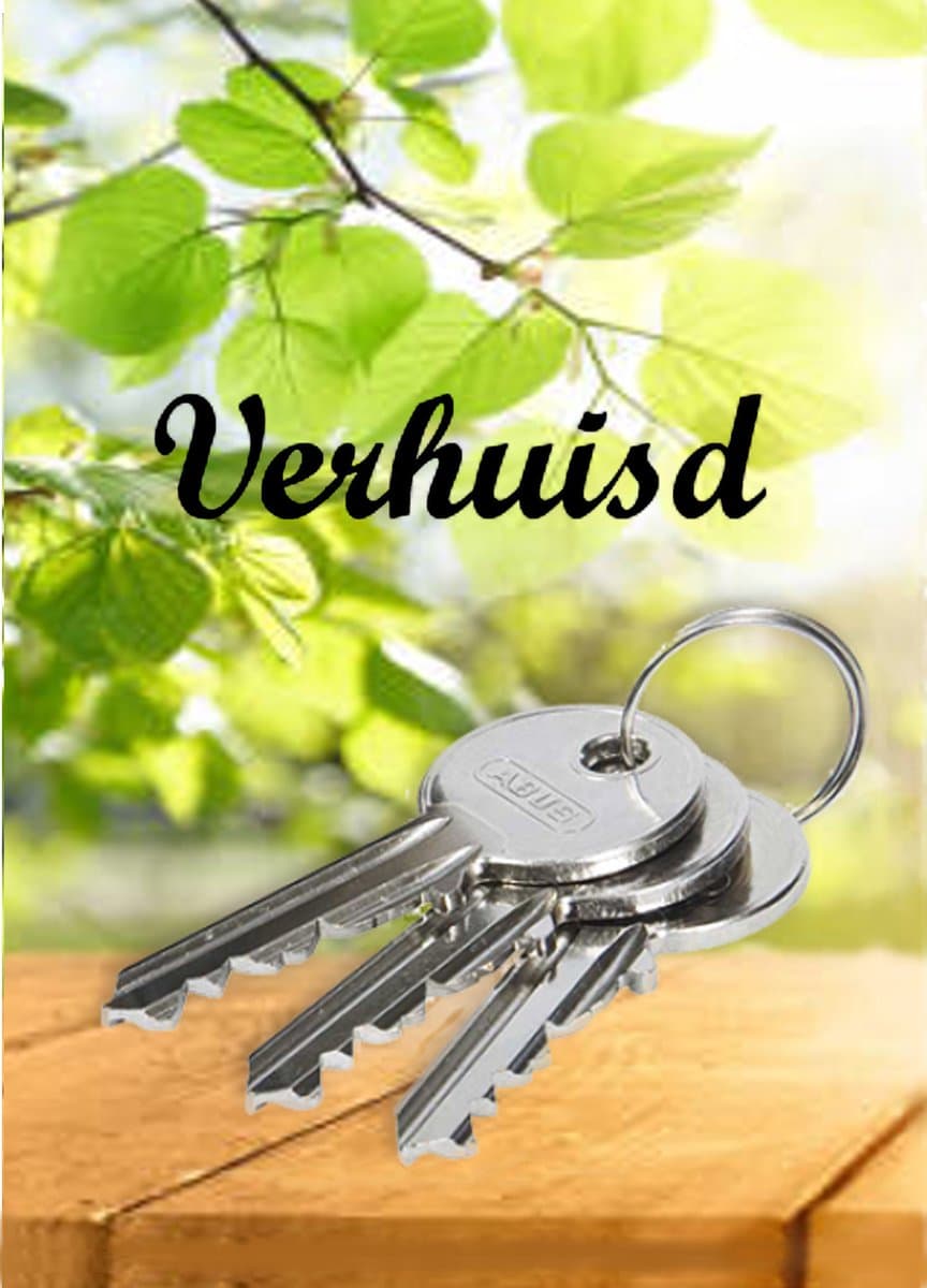 Adreswijziging - Verhuiskaarten - A6 - Kaartenset van 20 stuks - Briefkaarten - Gratis Verzonden (EAN: 8720813737277)