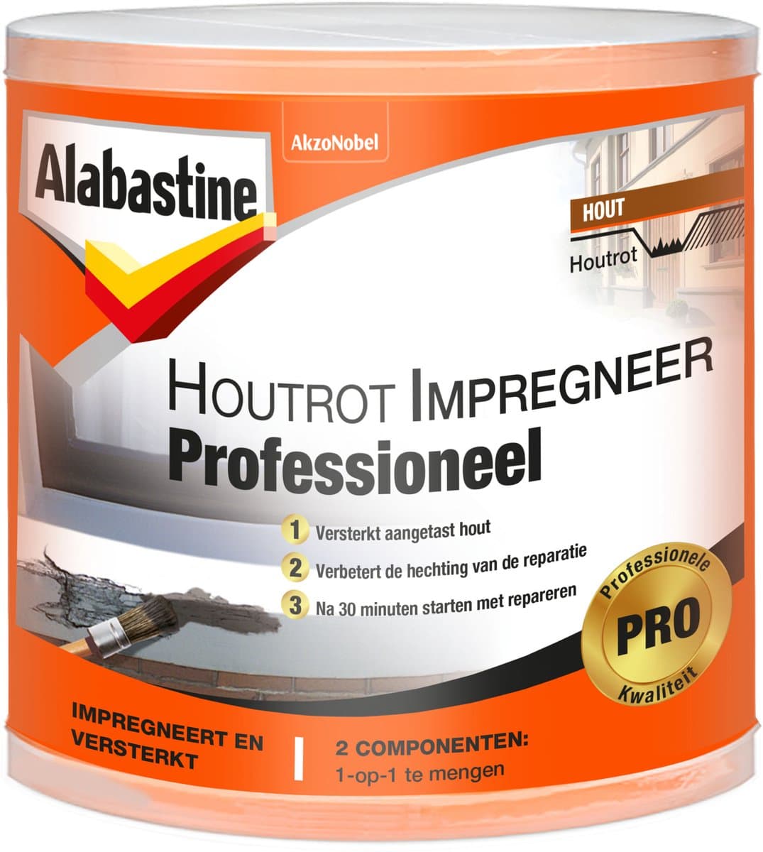 Alabastine - Houtrotimpregneer Professioneel - 120 ML (EAN: 8710839114442): Waarom dit spul een lifesaver is