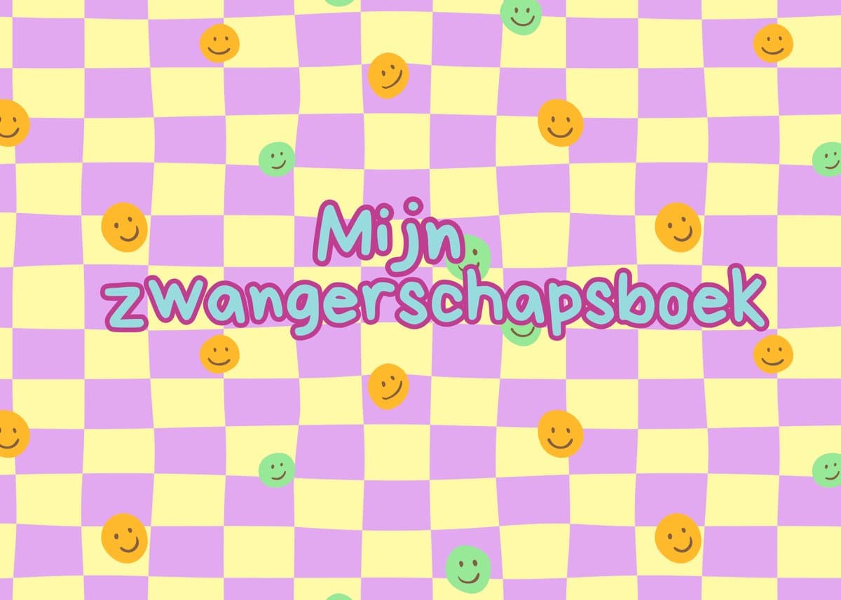 Zwangerschapsboek - Smileys - Blokjes - invulboek - Lytse Boef - 9 maanden boek (EAN: 9789083640044): **Een Lieveling van de Community**