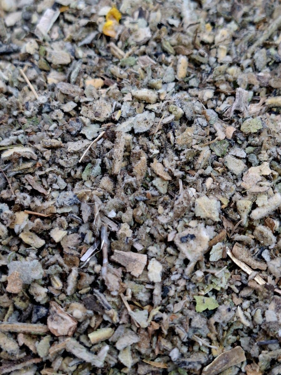 Koningskaars (Verbascum thapsus)50g Gedroogd, gesneden (EAN: 8720648140754): Waarom ik dit product koos