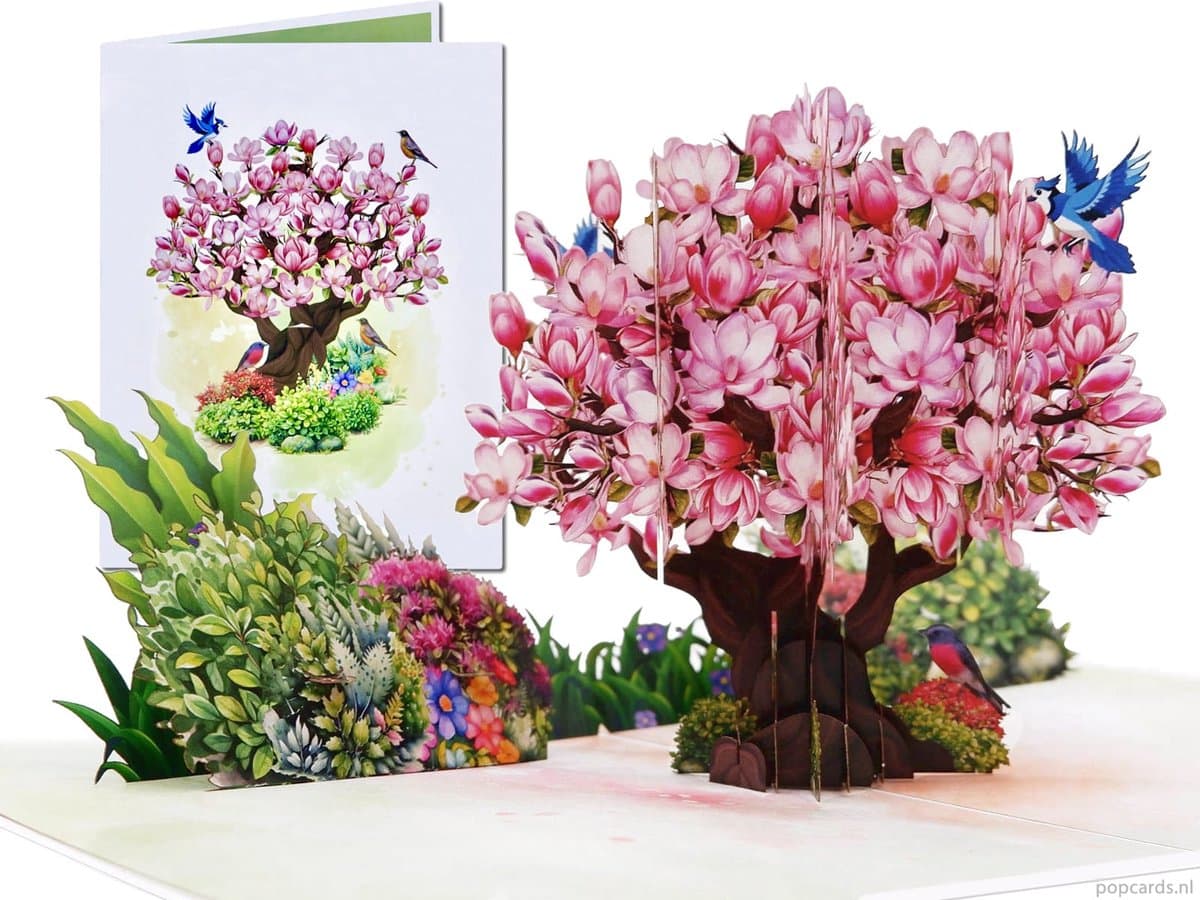 Popcards pop-up kaart - Luxe pop-up kaart met Bloeiende Magnolia Boom Sakura Kersenbloesem Bloesem 3D kaart wenskaart (EAN: 4805388558138): Eerste indrukken “Wauw, dat is echt iets anders!”