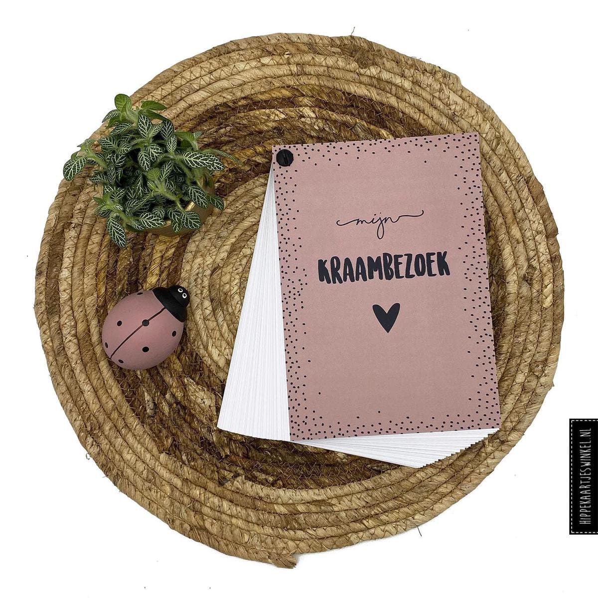 Kraambezoek - Invulkaarten - Kraambezoekboek meisje - Invulboek roze - 25 personen (EAN: 8720256978176): Waarom ik dit boek koos