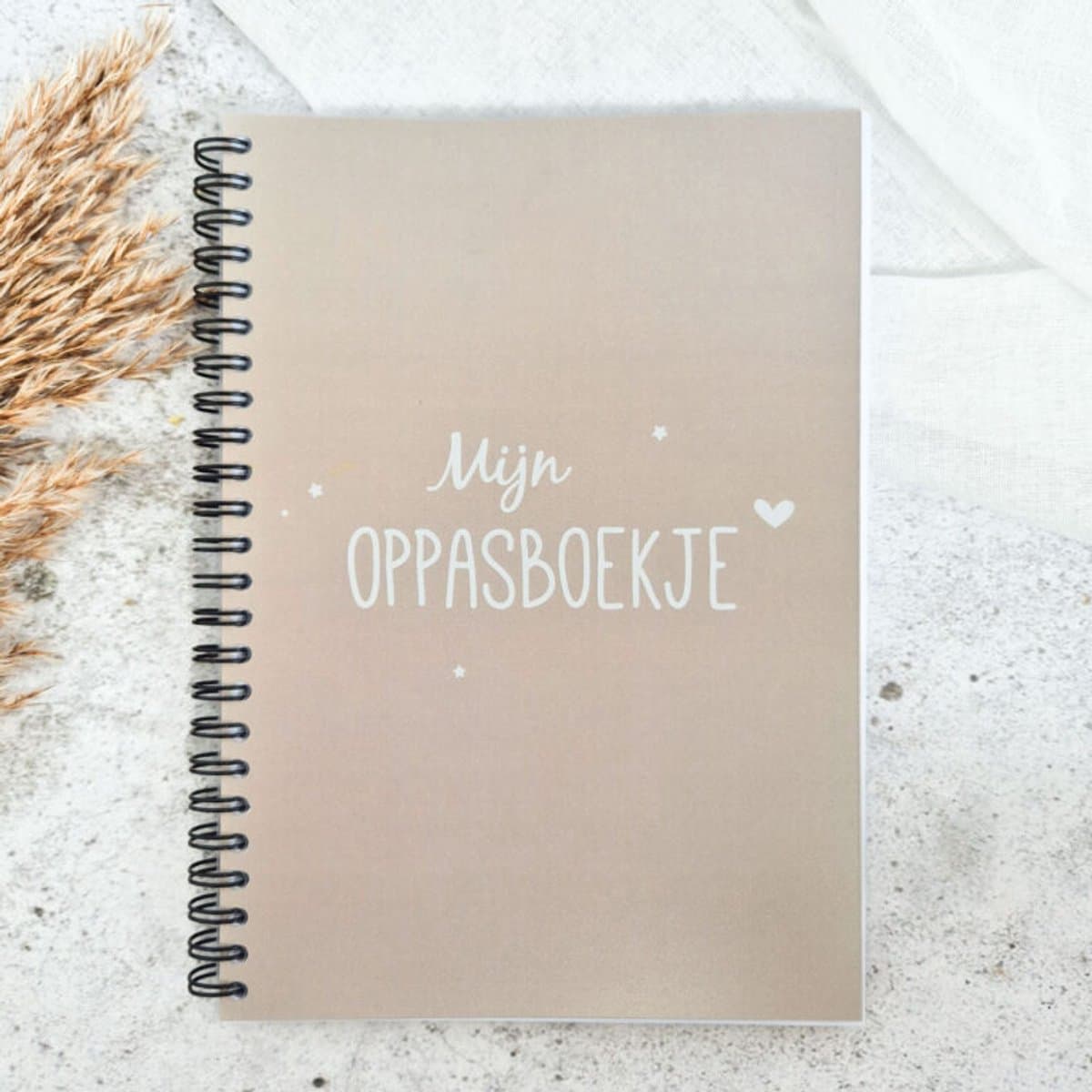 Oppasboekje | invulboek | gastouder, opvang of opa/oma | heen- en weer boekje | beige - zand (EAN: 9789082986181)