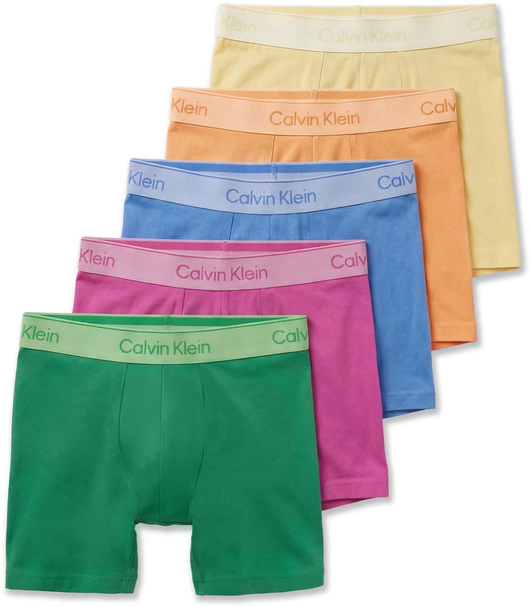 Ondergoed Boxer Calvin Klein Boxer Brief 5Pk - Fashion Wear - Volwassen (EAN: 8721336040301)