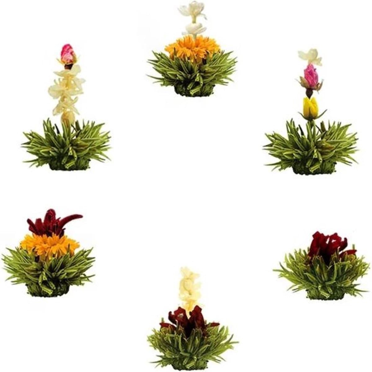 Theebloemen boeket groene thee - Bloementhee - Losse Theebloemen | 6 stuks (EAN: 8720955590891)
