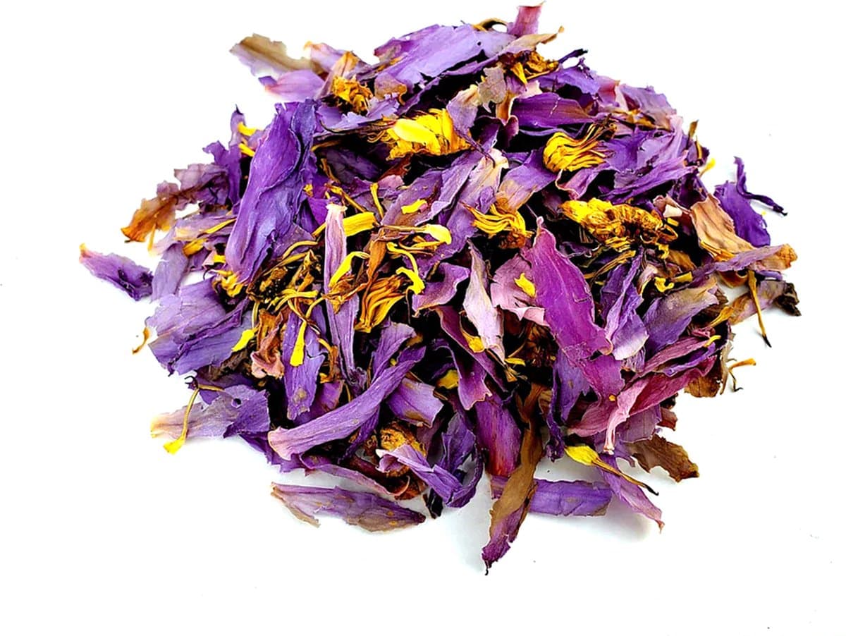 Blauwe Lotus thee - Blue Lotus tea - Nymphaea caerulea - Hoogste Kwaliteit - Cafeïnevrije kruidenthee - Lotusbloem - Meditatie - Ontspanning - Stressverlichting - 20 gram (EAN: 8720955590839)