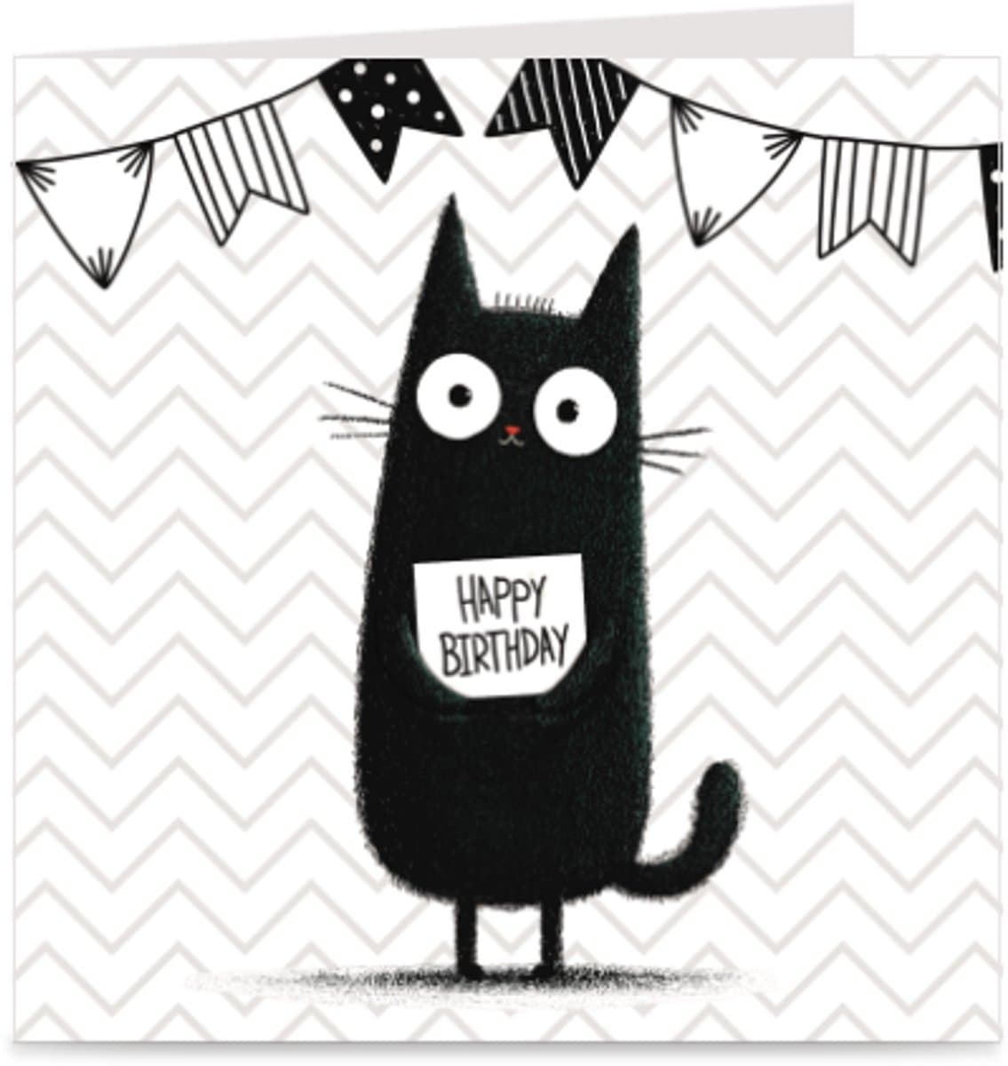 HAPPY BIRTHDAY | verjaardagskaart / wenskaart / kaart met envelop | jarig / verjaardag | cat / kat (EAN: 9110025317159)