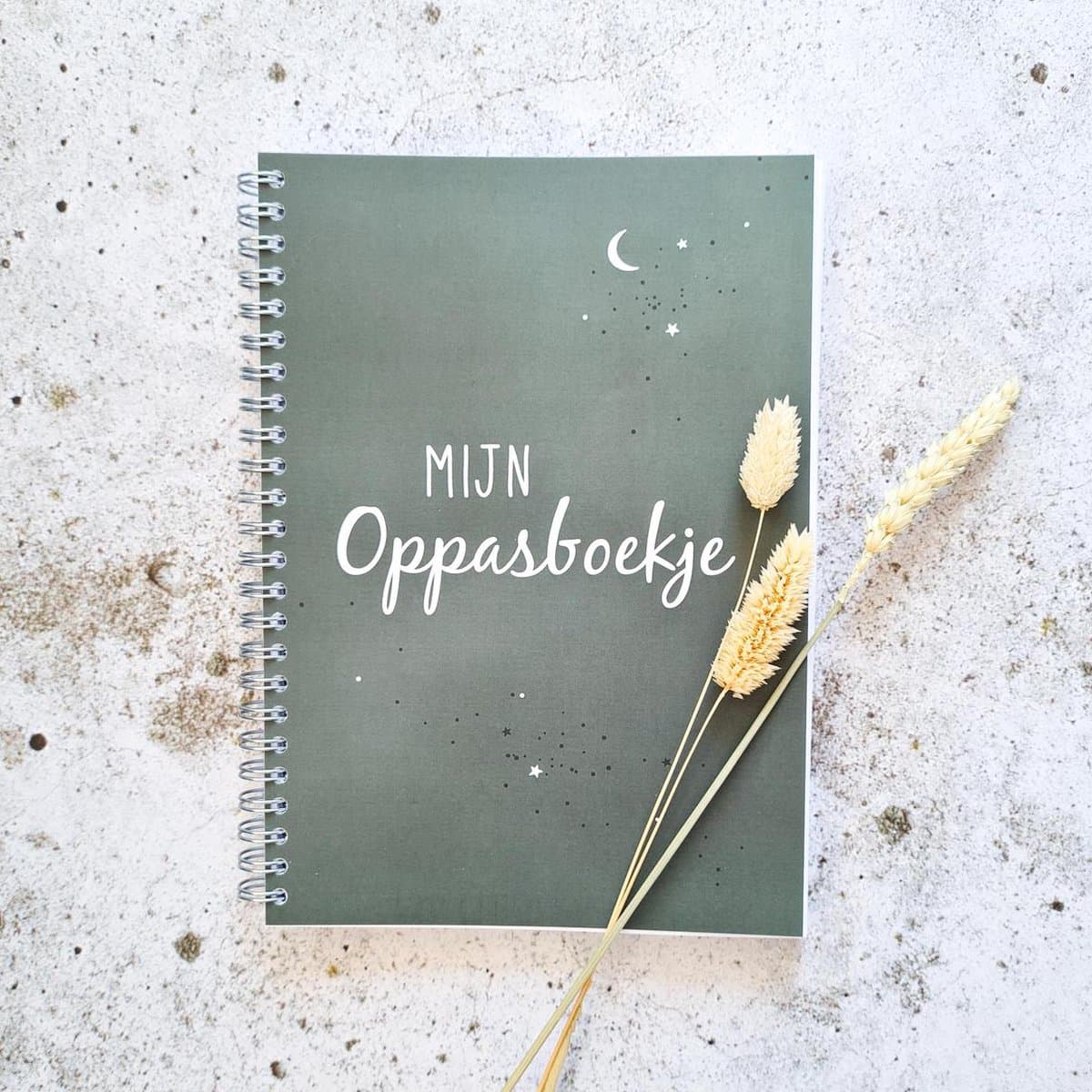 Oppasboekje | invulboek | wire-o | heelal groen| heen- en weer boekje (EAN: 9789083146713)
