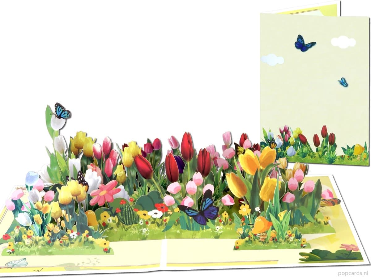 Popcards pop-up kaarten - Groot Tulpenveld vol met Kleurrijke Tulpen Bloemen Tulips Bloembollen Bollenstreek Keukenhof pop-up kaart 3D kaart wenskaart (EAN: 4805388547897)