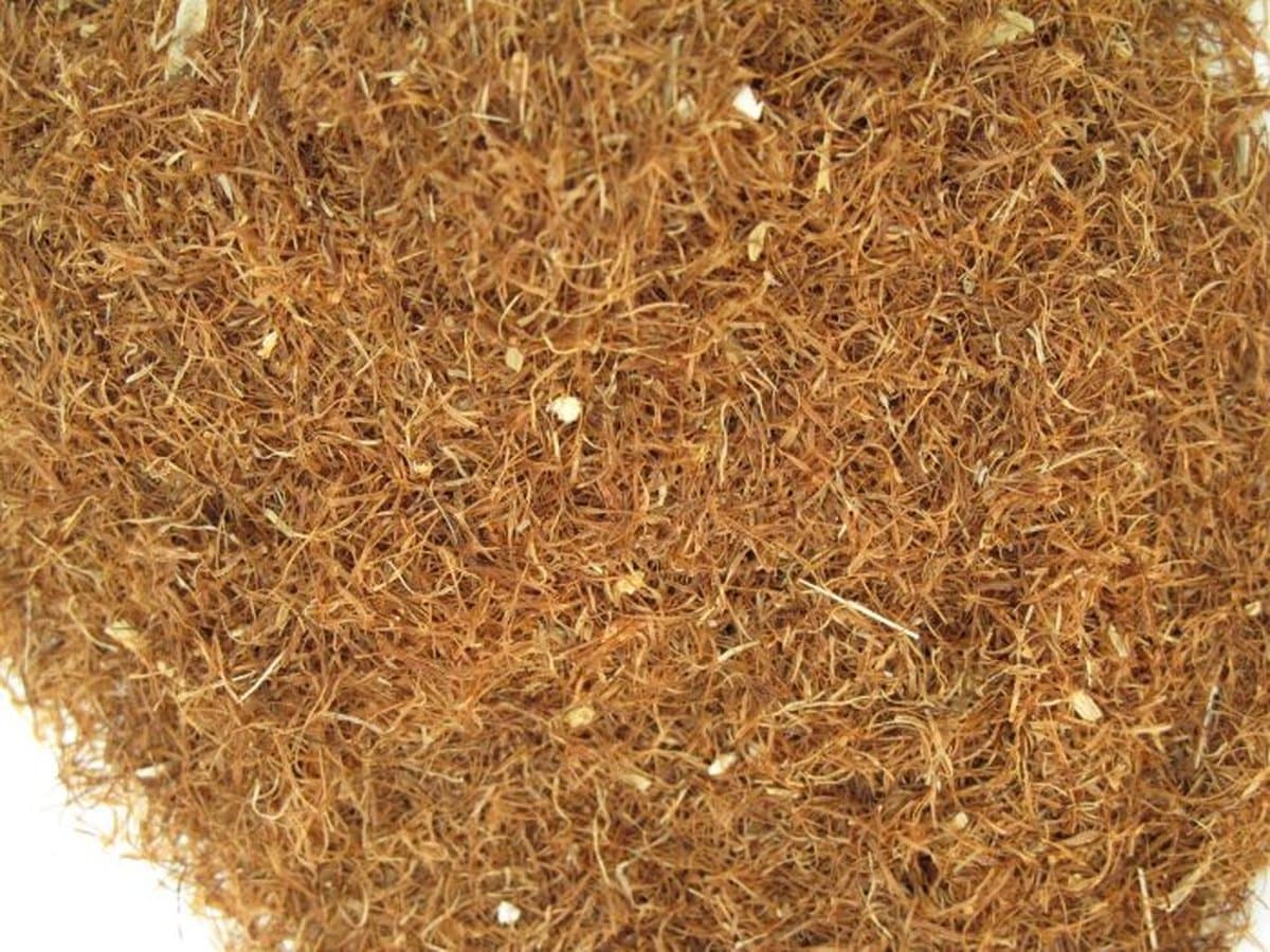 Maisbaard (Zea Mays)80g (EAN: 8720938214561): Waarom ik meteen “ja” zei