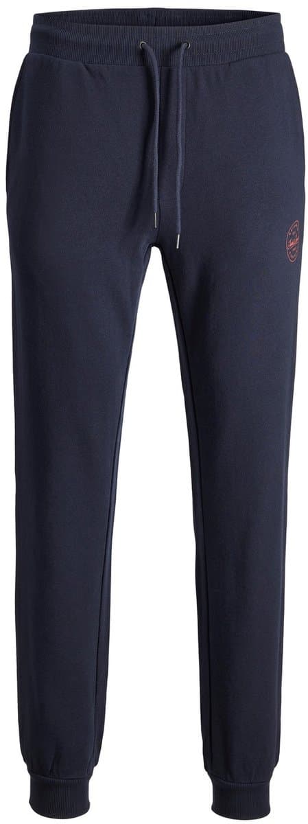 JACK & JONES - JJIGORDON JJSHARK SWEAT PANTS VIY Heren Broek (EAN: 5714500933939): Wat precies is er met deze JJIGORDON JJSHARK SWEAT PANTS